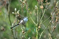 22 05 16_6774_edited-1